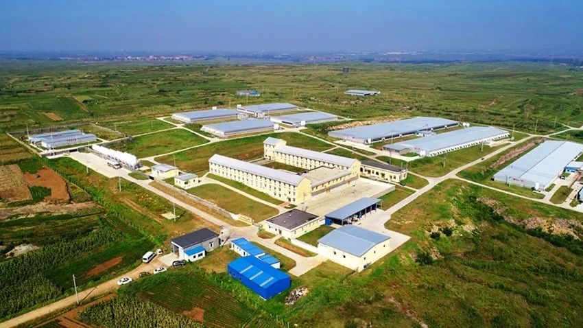 金世豪·(中国区)有限公司官网