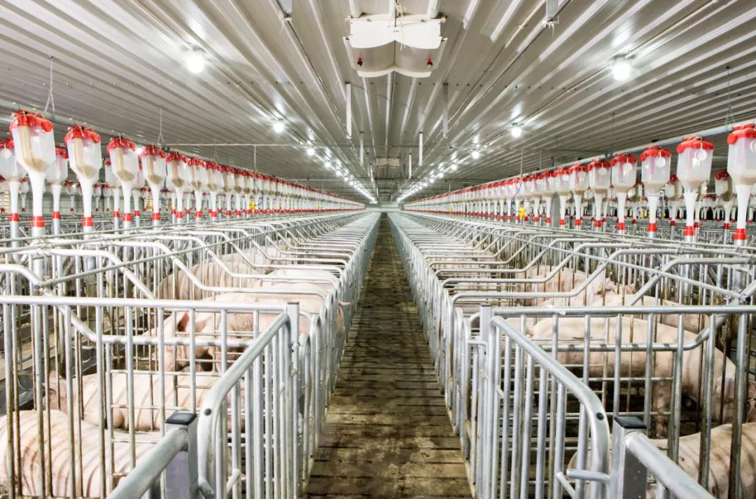 金世豪·(中国区)有限公司官网