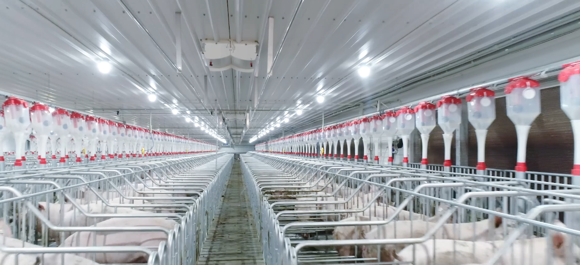 ½ðÊÀºÀ¡¤(ÖйúÇø)ÓÐÏÞ¹«Ë¾¹ÙÍø