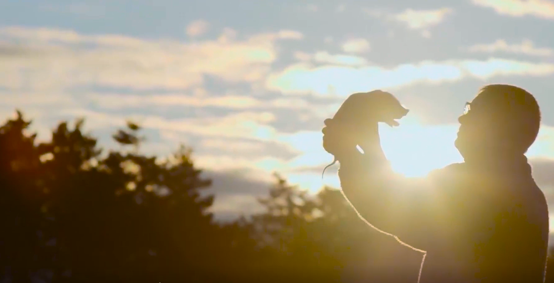 ��������(�й���)���޹�˾����