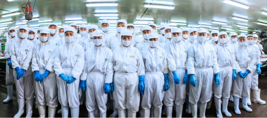 金世豪·(中国区)有限公司官网