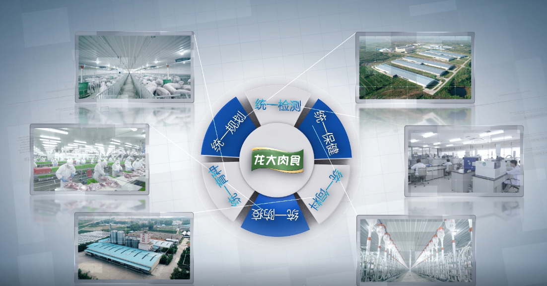 ��������(�й���)���޹�˾����