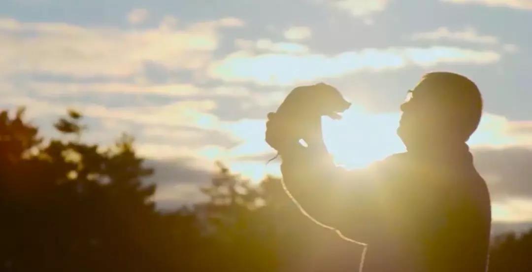 3.jpg ½ðÊÀºÀ¡¤(ÖйúÇø)ÓÐÏÞ¹«Ë¾¹ÙÍø