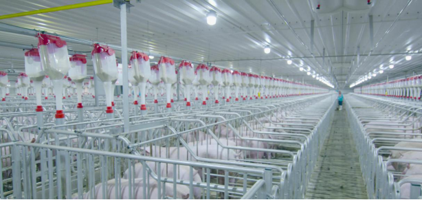 ½ðÊÀºÀ¡¤(ÖйúÇø)ÓÐÏÞ¹«Ë¾¹ÙÍø