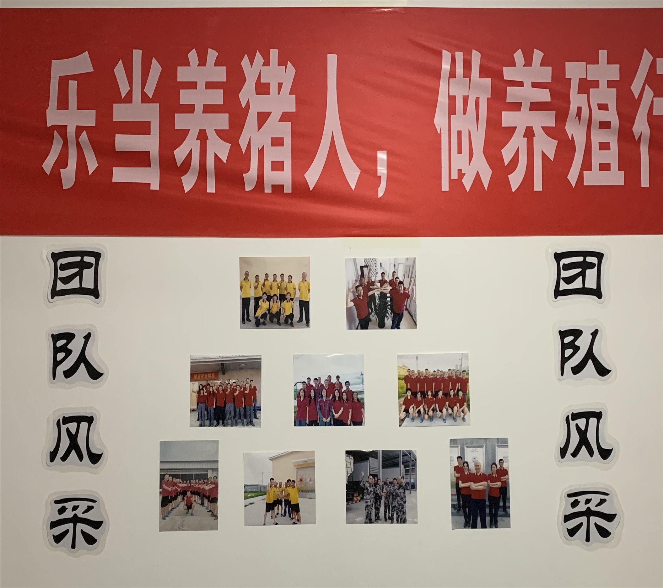 ��������(�й���)���޹�˾����