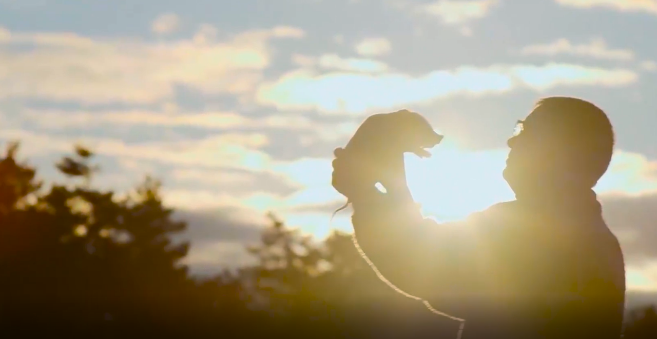 ��������(�й���)���޹�˾����