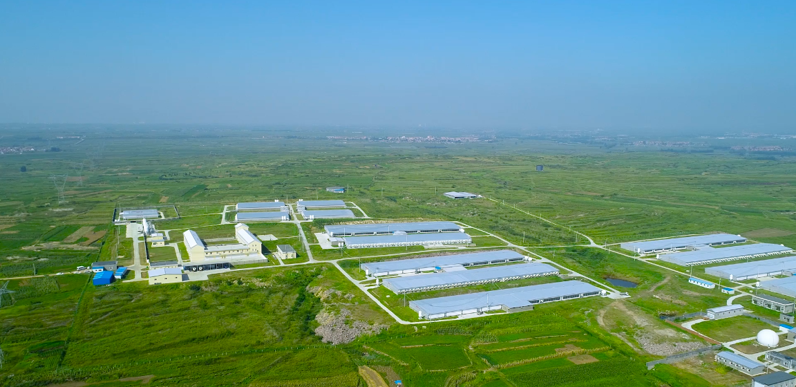 ��������(�й���)���޹�˾����